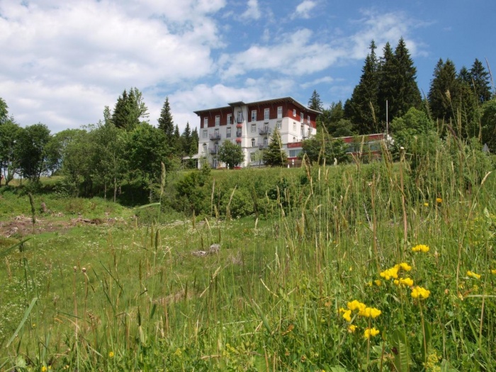  Familien Urlaub - familienfreundliche Angebote im Waldhotel am Notschreipass in Todtnau in der Region Schwarzwald 